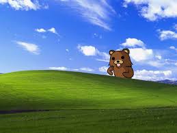 Pedo Bear winXP wallpaper_001 ...