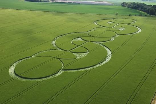 2005 Crop Circles - Temporary Temples