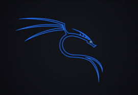 A collection of the top 49 kali linux wallpapers and backgrounds available for download for free. Pin On Mac Wallpaper
