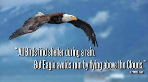 When the storm hits, it sets its wings so that we can soar above the storm. All Birds Find Shelter During A Rain But The Eagle Avoids Rain By Flying Above The Clouds Problems Are Common But Attitude Makes The Difference Wisdom Fighters