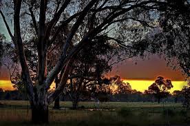 Sunset At Benalla Victoria Australia Places To Visit Melbourne Victoria