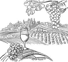 Black And White Vines Vector Vineyard Composition With Grapes And Glass Of Vine Vector Sketched Grape Drawing Vector Sketch Flower Drawing