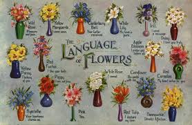 Names that mean anemone, iris, asphodel, daffodil, jonquil, tulip, orchid, carnation, chrysanthemum gardenia: Flower Meanings Symbolism Of Flowers Herbs And More Plants The Old Farmer S Almanac