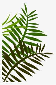 Leaf Png Download Transparent Leaf Png Images For Free Page 5 Nicepng Pikbest has 1124 jungle leaves design images templates for free. transparent leaf png images