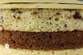 Back Basics Teil 1 Die Basis Einer Jeden Torte Der Boden Biskuit Murbeteig Ruhrteig No B Kuchen Und Torten Kuchen Und Torten Rezepte Kuchen Ohne Backen
