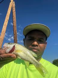 Caught small buckeye fish