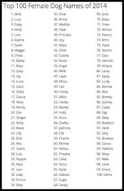 Here's 500 cute puppy names to help get you started. 9 Puppies Names Female Ideas Puppy Names Puppies Names Female Names