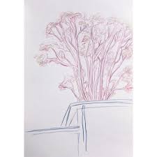 Backyard Tree Sketch Brisbane Brisbaneart Brisbaneartist Australia Australiaart Australiaartist Gumtree S Tree Sketches Abstract Artwork Backyard Trees