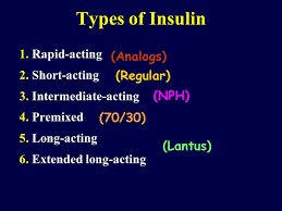 First Step Into Insulin Therapy Ppt Download