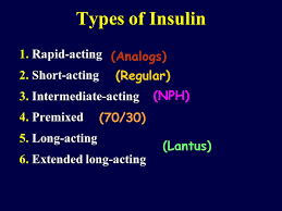 first step into insulin therapy ppt download