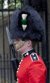 Welsh Guardsman British Army Welsh British Army Uniform