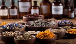 Botanical herbs on table