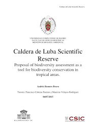 Image result for Pilea sublucens