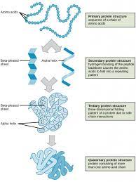 Dna or deoxyribonucleic acid is a long molecule that contains our unique genetic code. 2 3 Biological Molecules Concepts Of Biology 1st Canadian Edition