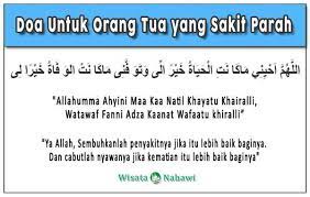 Doa Untuk Orang Tua Bacaan Arab Latin Dan Artinya Lengkap