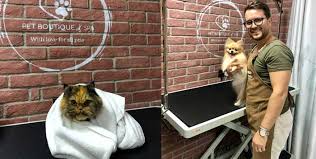 We offer haircuts, baths, maintenance and more! Pet Spa Services And Deals Starting From Aed 89 Cobone Offers