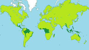 There is no one place to visit if your destination is tropical rainforests. Pacific Island Projects Upper Primary School Resources