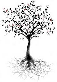 Tree Of Life Tattoo Google Search Olive Tree Tattoos Tree Roots Tattoo Roots Tattoo
