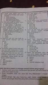 Video ini dibuat untuk memenuhi salah satu tugas ujian akhir semester (uas) mata kuliah media dan sumber belajar pai (msbpai)pendidikan agama islam. Perbedaan Rukun Haji Dan Umrah Adalah Brainly Paket Tour Murah Bayar Cash Atau Cicilan Bersamawisata