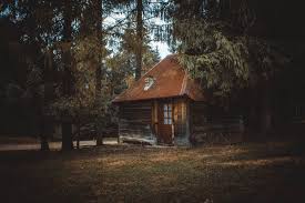 On this page you will find information about the forest and how you can download the game for free. Free Photo Wooden House On A Forest Abandoned Outdoors Trees Free Download Jooinn