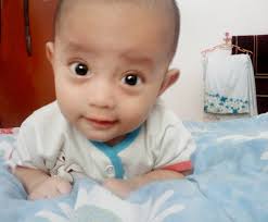 Bahaya dari prasangka adalah kebencian. Maksud Nama Naufal Dan Aufa Blog Mamy Syu