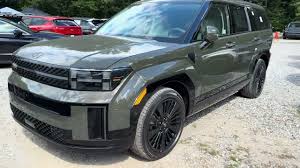 Image result for Rockwood Green 2025 Santa Cruz