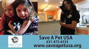 Große auswahl an pet save. Save A Pet Animal Rescue Inc Guidestar Profile
