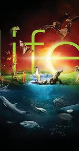 Una vida en nuestro planeta. Life Tv Mini Series 2009 Imdb