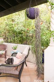 Illustration of vines forming the shape of a heart. String Of Hearts Plant 4 Ways To Propate This Trailing Rosary Vine