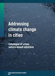 For sea turtles, the heat of the keywords climate solutions, technology, renewable energy, carbon capture and storage. Addressing Climate Change In Cities Catalogue Of Urban Nature Based Solutions Ecologic Institute