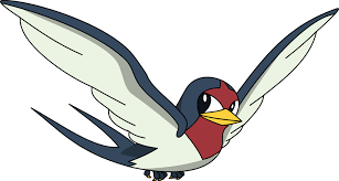 Pokemon 276 Taillow Pokedex Evolution Moves Location Stats