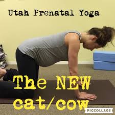 Marjari asana, or the cat stretch, incorporates the excellent feline stretch in the yoga workout. The New Cat Cow Utah Prenatal Yoga