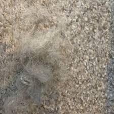 Maybe you would like to learn more about one of these? All Bright Carpet Cleaning 20 Reviews Carpet Cleaning Waddell Az Phone Number Yelp