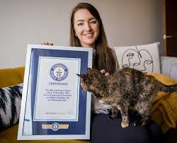 The world's oldest cat lives in London