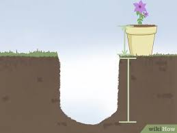The real problem is knowing how to prune the somewhat aggressive vines, as they can reach ten feet or more, depending on the variety. How To Plant Clematis 13 Steps With Pictures Wikihow