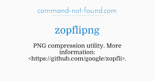 Image result for zopfli