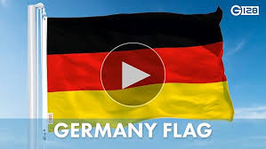 Image result for Glebionis carinata `German Flag`