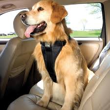 Kurgo Tru Fit No Pull Dog Harness Easy Walk Dog Harness X