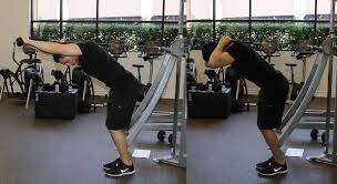 We did not find results for: Overhead Rope Extension V2 The Optimal You Online Personal Trainers Holistic Nutrition