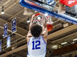 Image result for Brown 1980 Evans Coach Lines