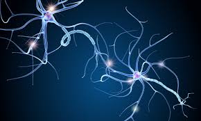 Yuki n., kokubun n., kuwabara s. Sars Cov 2 Kann Das Gefurchtete Guillain Barre Syndrom Auslosen Deutsche Gesellschaft Fur Neurologie E V