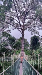 The main feature of this park is bird watching, apart from the general qualities of a national park. Kuala Koh National Park Gua Musang 2021 All You Need To Know Before You Go With Photos Gua Musang Malaysia Tripadvisor