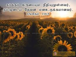 Pin On Holy Bible Tamil