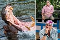 Image result for Paul Templar