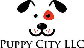 Make sure you understand the laws and requirements of pet ownership where you live. Puppy City 3343 Valley Pike Winchester Va 22602 Sp Com