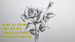 How To Draw And Shade A Rose Flower With Charcoal Pencil Easy Step By Roses Drawing Rose Drawing Shade Roses