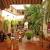 Modern Spanish Patio