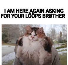 I Am Here Once Again Asking For Your Loops Brother Album On Imgur