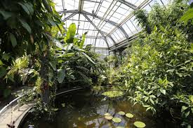 Botanischer Garten Der Naturkundlichen Fakultat Der Karlsuniversitat Botanicka Zahrada Prirodovedecke Fakulty Uk Prague Eu