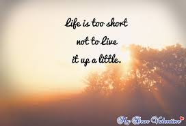 Life Is Too Short Not To Live It Up A Little Short And Sweet Quotes Cute Quotes For Life Cute Short Quotes